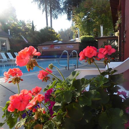 Riverlane Resort Guerneville Eksteriør billede